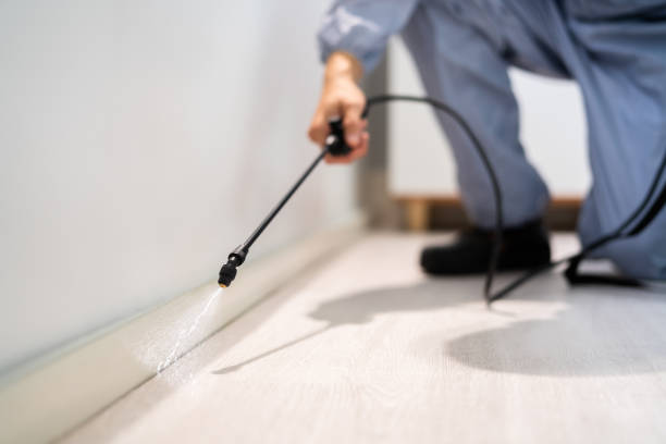 Licensed Exterminator service in Pleasant Ridge, MI - Show Me Pest Control