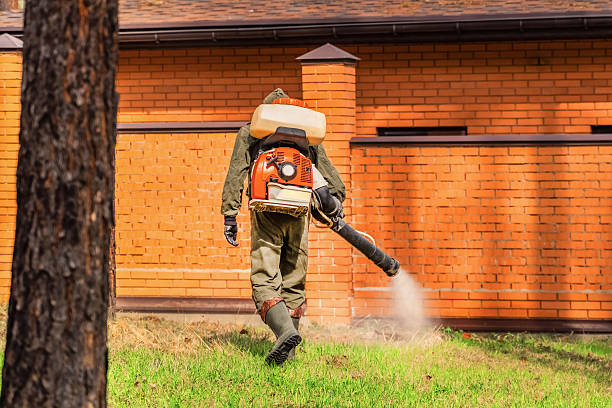 Top rated local Mosquito Control specialists in Pleasant Ridge, MI